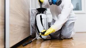 Best Fumigation Services  in Bellevle, IL